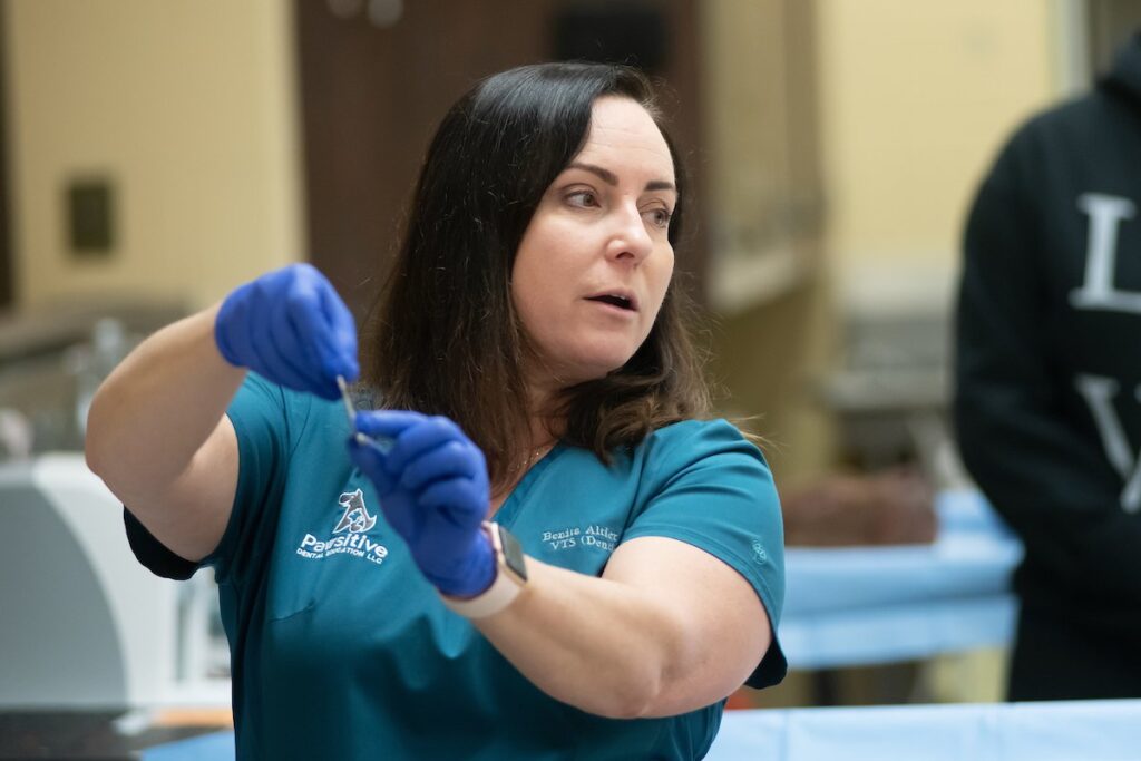 Top Trends In Veterinary Continuing Education 2024